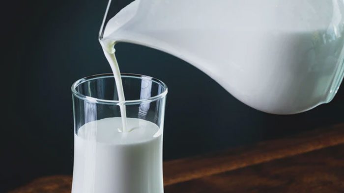 Melk gezond of niet | Perfect Health